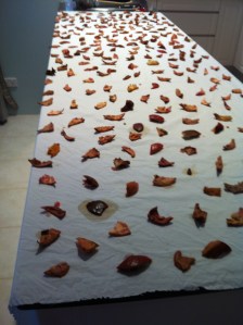 Cleaned and cut up pomegranate skins laid over half the sheet