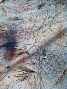 Sprayed with iron water and scattered with casuarina needles
