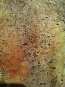 I'm happy with these markings for my quilt backing