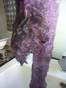 Bundle 1 Carrot in carrot after rinsing