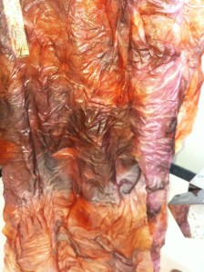 Bundle 2: Onions in carrot after rinsing