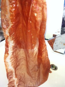 Bundle 3: pomegranate in silk organza boiled in avocado skins