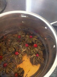 Tea flowers opened in boiling water.