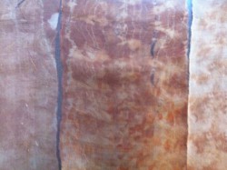 The three samples are in fact different colours! L to R: tea flowers, brown onion, tea "balls".