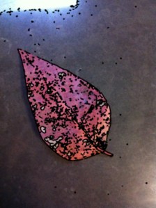 Line drawing made by C4LA