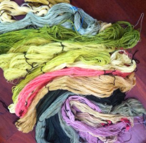 All the dyed, rinsed, heat set where necessary, and dried skeins.
