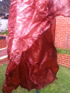 My friend Julie's dupion silk which was in the same bath.