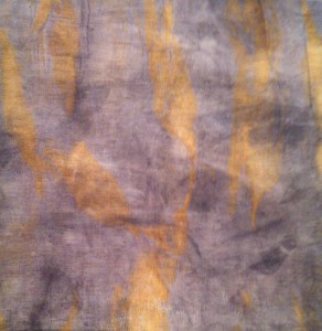 Relatively open weave of 80% cotton; 20% silk fabric, sprayed with iron water and bound with unknown species of eucalyptus leaves leaves.