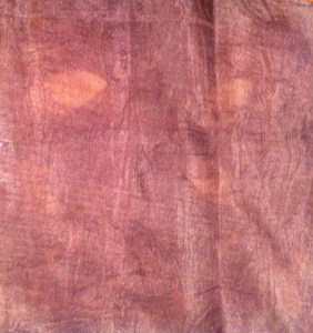 Narrow silk scarf bound with the smaller of the two unknown species of eucalyptus leaves and sprayed with iron water before simmering in water for at least an hour. The colour is not good in this image. The scarf is actually a rich dark chocolate.