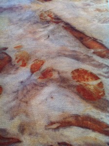 The silver dollar leaves with ilyarrie leaves and sprayed with iron.