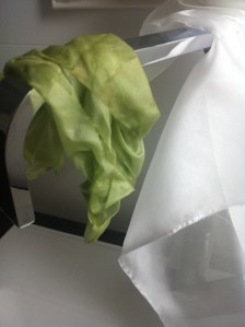 Left: silk fabric solar dyed with dill. Right: The white undyed silk fabric.