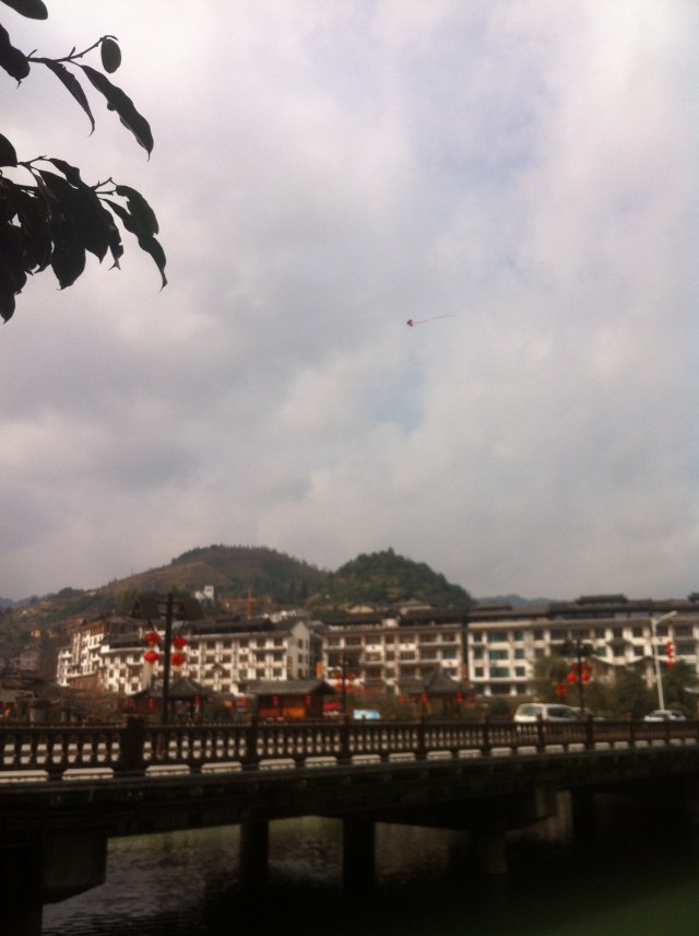 China Leishan - 1 (3)